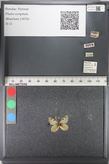 Media type: image;   Entomology 126164